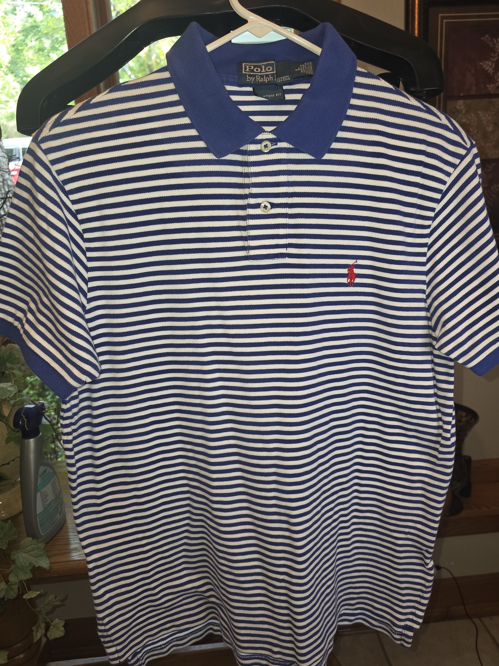 Polo by Ralph Lauren Blue & White Striped Polo with Red Pony
